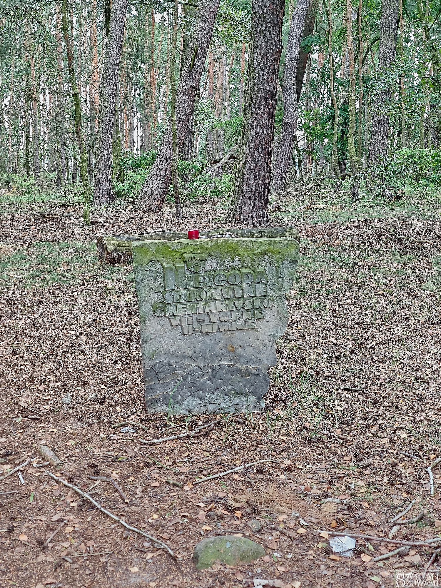 Czatownia Szlaban 59.jpg